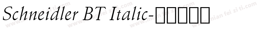 Schneidler BT Italic字体转换